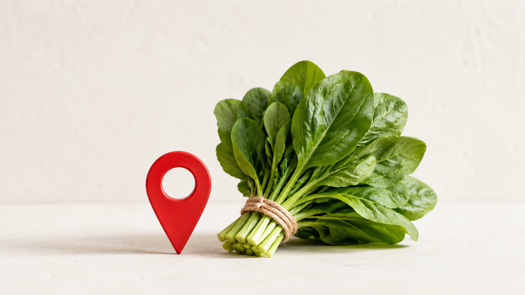 植物工場内部の広角。シンガポール・オランダが伸びた理由は施設でなく立地条件にある